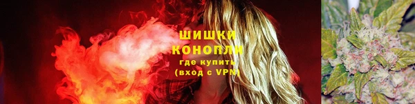 ешки Алексеевка