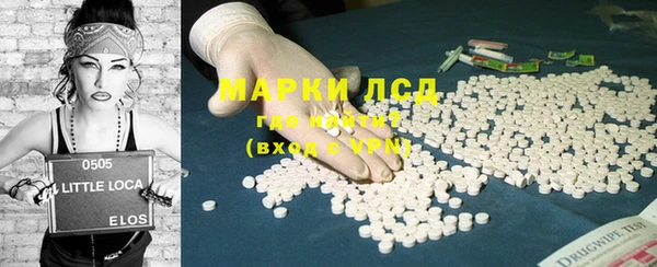 ECSTASY Алзамай