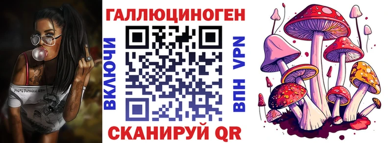 Купить закладки  Тимашёвск  Псилоцибиновые грибы Psilocybe 